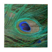 インディアンブルーピーコックフェザー タイル (正面)