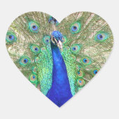 インディアンブルーピーコック ハートシール (正面)