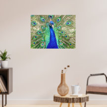 インディアンブルーピーコック