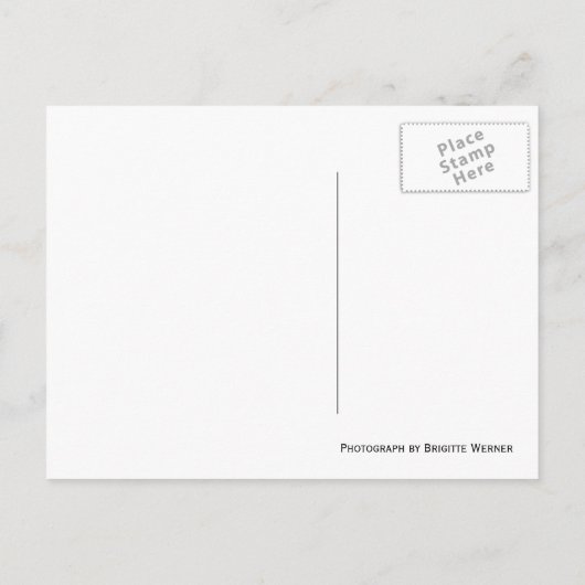 「インディアンヘッド」セコイア国立公園サイン ポストカード (裏面)