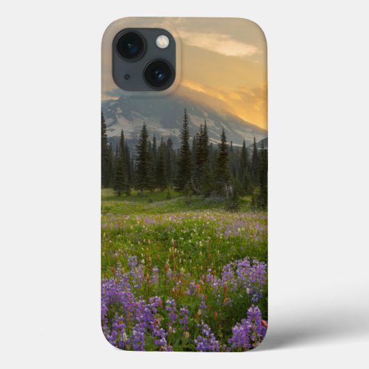 インディアンヘンリーズ狩りグラウンドアットサンライズ Case-Mate iPhoneケース (裏面)