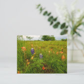 インディアンペイントブラシとブルーボンネット， Ennis, TX ポストカード (スタンド正面)