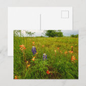 インディアンペイントブラシとブルーボンネット， Ennis, TX ポストカード (正面/裏面)