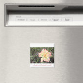 インディアンペイントブラシ磁石 マグネット (インサイチュ (食洗機))