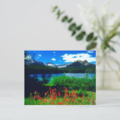 インディアンペイントブラシ ポストカード (スタンド正面)