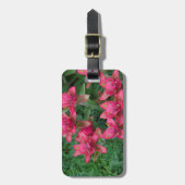 インディアンペイントブラシ ラゲッジタグ (正面縦)