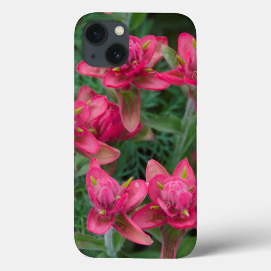 インディアンペイントブラシ Case-Mate iPhoneケース (裏面)