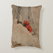 インディアンペイントブラシin岩アットジオン アクセントクッション (裏面(縦))
