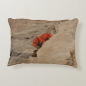 インディアンペイントブラシin岩アットジオン アクセントクッション (裏面)