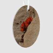 インディアンペイントブラシin岩アットジオン オーナメント (正面)