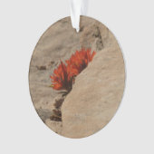 インディアンペイントブラシin岩アットジオン オーナメント (正面)