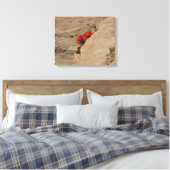 インディアンペイントブラシin岩アットジオン キャンバスプリント (インサイチュ (寝室))