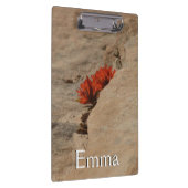 インディアンペイントブラシin岩アットジオン クリップボード (右)