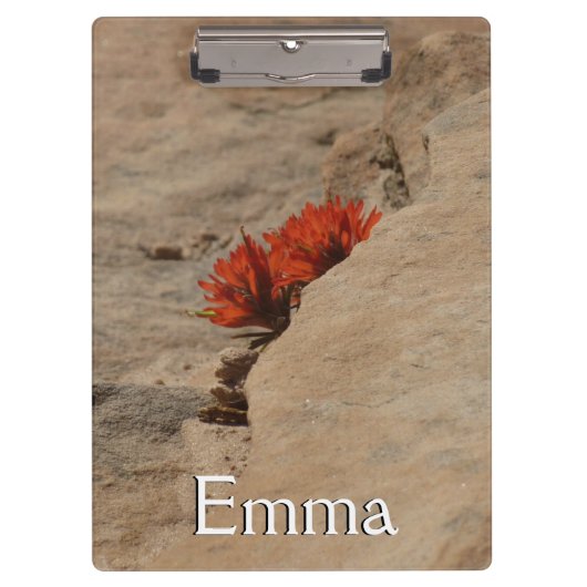 インディアンペイントブラシin岩アットジオン クリップボード (正面)