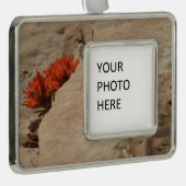 インディアンペイントブラシin岩アットジオン シルバープレートフレームオーナメント (右)