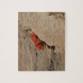 インディアンペイントブラシin岩アットジオン ジグソーパズル (縦)