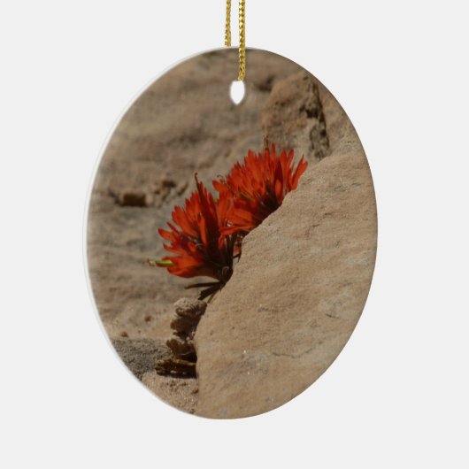 インディアンペイントブラシin岩アットジオン セラミックオーナメント (右)