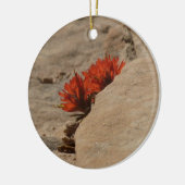 インディアンペイントブラシin岩アットジオン セラミックオーナメント (左)