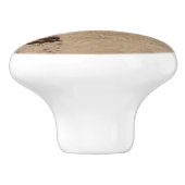 インディアンペイントブラシin岩アットジオン セラミックノブ (側面)