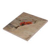 インディアンペイントブラシin岩アットジオン タイル (側面)