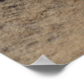 インディアンペイントブラシin岩アットジオン ポスター (角)