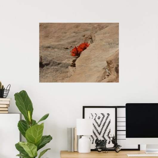 インディアンペイントブラシin岩アットジオン ポスター (ホームオフィス)