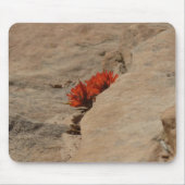 インディアンペイントブラシin岩アットジオン マウスパッド (正面)