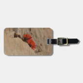 インディアンペイントブラシin岩アットジオン ラゲッジタグ (正面横)