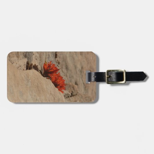 インディアンペイントブラシin岩アットジオン ラゲッジタグ (正面横)