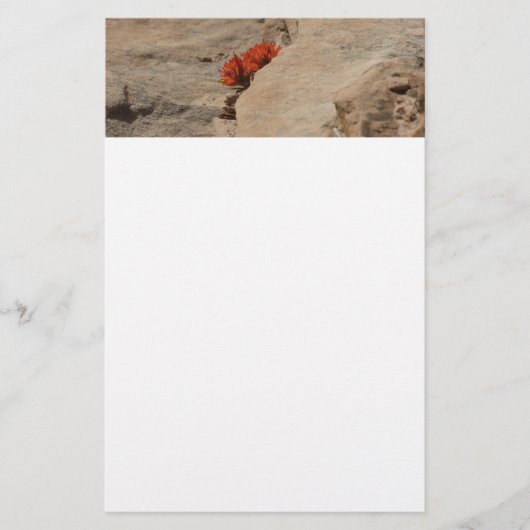 インディアンペイントブラシin岩アットジオン 便箋 (正面)