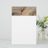 インディアンペイントブラシin岩アットジオン 便箋 (スタンド正面)