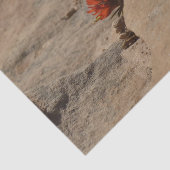 インディアンペイントブラシin岩アットジオン 薄葉紙 (詳細)