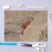 インディアンペイントブラシin岩アットジオン 薄葉紙 (クラフト)