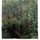 インディアンペイントブラシin the Forest シャワーカーテン (正面)