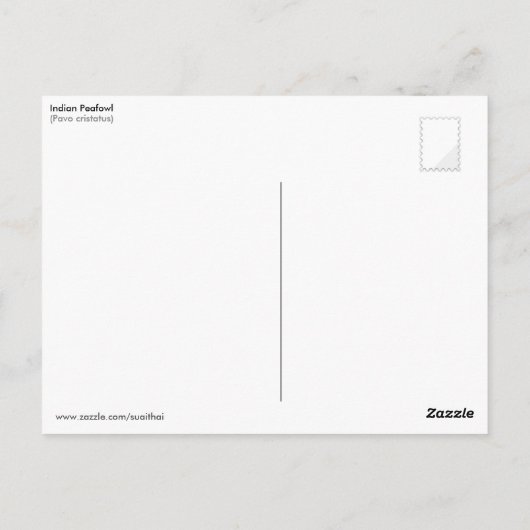 インディアンペフクロウ(パボクリステータス) ポストカード (裏面)