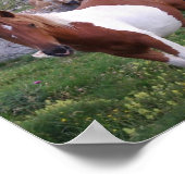 インディアンポニーポスタープリント ポスター (角)