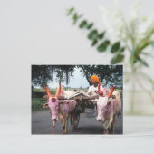 インディアンマンポストカード ポストカード (スタンド正面)