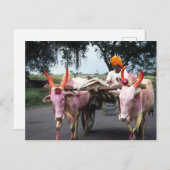 インディアンマンポストカード ポストカード (正面/裏面)