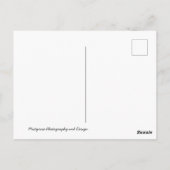 インディアンマンポストカード ポストカード (裏面)