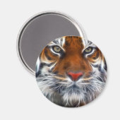 インディアンユングルズの主ベンガル王室のトラ マグネット (正面/裏面)