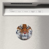 インディアンユングルズの主ベンガル王室のトラ マグネット (インサイチュ (食洗機))