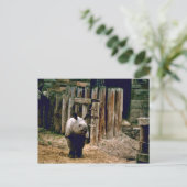 インディアンリノ ポストカード (スタンド正面)