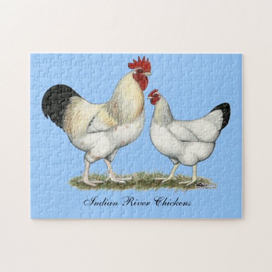 インディアンリバーチキンズ ジグソーパズル (横)