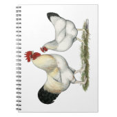 インディアンリバーチキンズ ノートブック (正面)