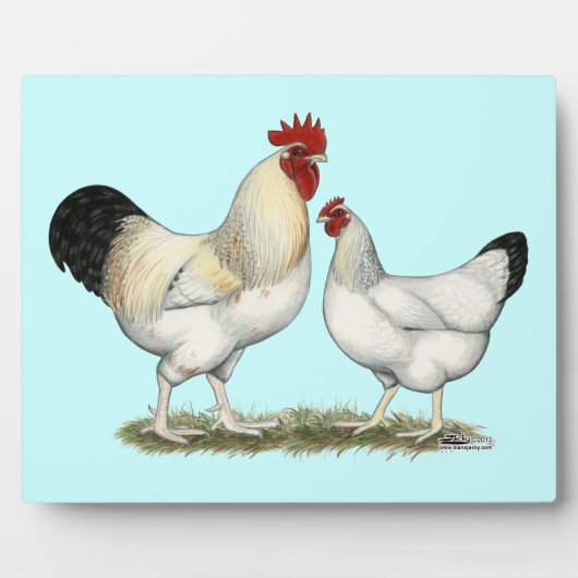 インディアンリバーチキンズ フォトプラーク (正面)