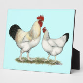 インディアンリバーチキンズ フォトプラーク (側面)