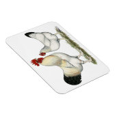 インディアンリバーチキンズ マグネット (右側)