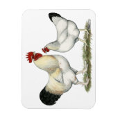 インディアンリバーチキンズ マグネット (縦)