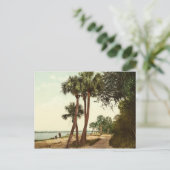 インディアンリバーフロリダ1898ヴィンテージ写真 ポストカード (スタンド正面)