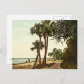 インディアンリバーフロリダ1898ヴィンテージ写真 ポストカード (正面/裏面)